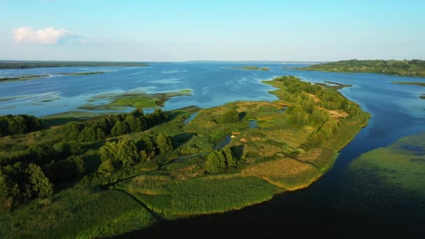 Volo della telecamera sul fiume in mezzo al quale passa l'isola — Video Stock