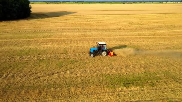 Ciągniki i maszyny rolnicze zbierające kukurydzę jesienią, zapierający dech w piersiach widok z powietrza. — Wideo stockowe