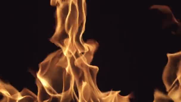 Пламя огня видео кадры, очень красивый огонь — стоковое видео