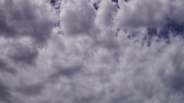 PUFFY CLOUDS, Puffy fofo nuvens brancas azul céu tempo lapso movimento fundo. Céu azul brilhante céu inchado nuvem branca fofa céu nublado nublado. Puffy fofo branco nuvem azul céu fundo . — Vídeo de Stock