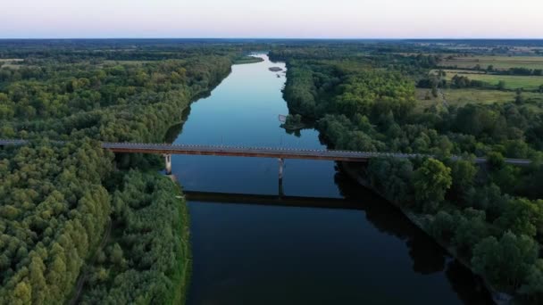 Légi kilátás a gyönyörű árvíz-rét és a folyami árvíz. Repülő felett gyönyörű Desna folyó, amikor a folyó tele van vízzel tavasszal a nemzeti természetvédelmi park Chernihiv oblast, Ukrajna. — Stock videók