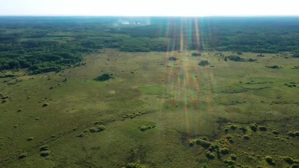 Sumpf unpassierbare Sümpfe Luftaufnahmen bei sonnigem Wetter — Stockvideo