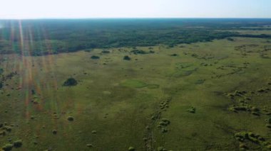 Bataklık geçilmez bataklıklar güneşli havalarda hava fotoğrafçılığı