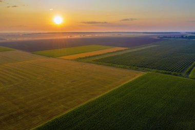 Galler'de yaz aylarında ekili tarım arazileri ve tarlalarıhavadan drone görünümü,