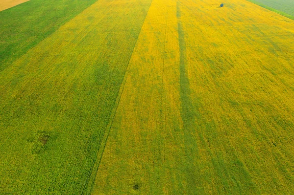 ウェールズの夏の間に栽培された農地や野原の空中ドローンビュー, — ストック写真