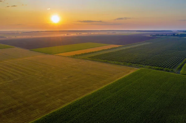 Galler'de yaz aylarında ekili tarım arazileri ve tarlalarıhavadan drone görünümü,
