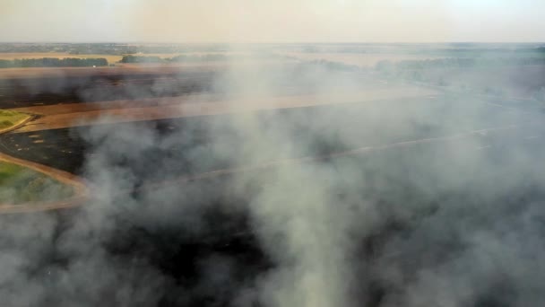 Vista aérea do fazendeiro de drones Queimando grama seca. Disparar em uma vista aérea de campo. Fogo nos campos de outono . — Vídeo de Stock