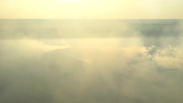 Luftaufnahme von einem Drohnenbauer, der trockenes Gras verbrennt. Feuer in einem Feldluftbild. Feuer auf Herbstfeldern. — Stockvideo