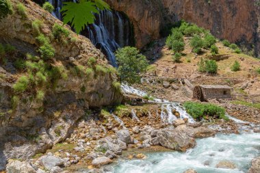 Aladaglar Ulusal Parkı 'ndaki Kapuzbasi Şelalesi Şelale Çorbaları' nın etrafında yeşil ağaçlar.