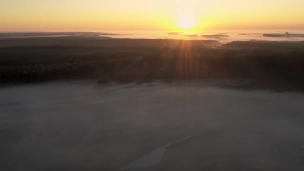 4k vanuit het oogpunt van de lucht. Zonnige en mistige ochtend over de rivier — Stockvideo