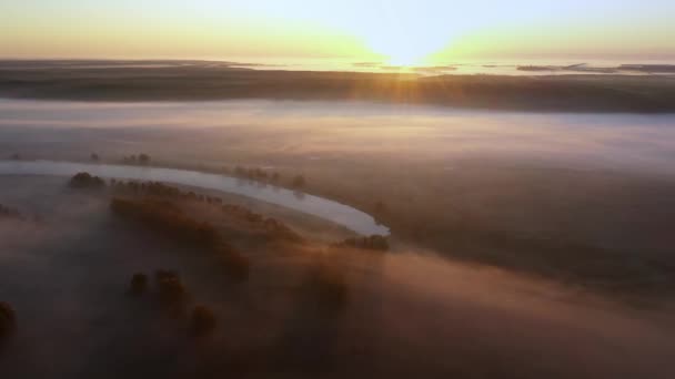 4k vanuit het oogpunt van de lucht. Zonnige en mistige ochtend over de rivier — Stockvideo