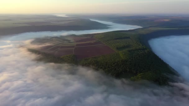 Воздушный вид полей на холме над облаками, Воздушный вид на туман над рекой на восходе солнца, густой туман над речной антенной, туман над Днестром , — стоковое видео