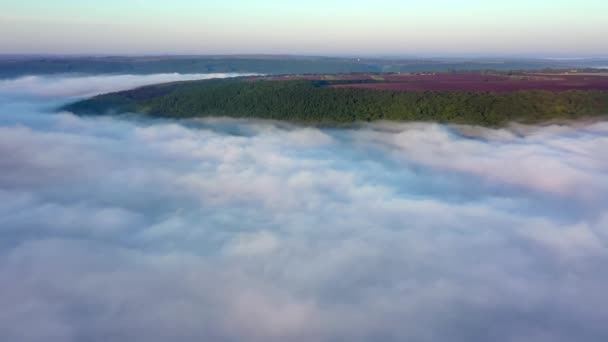 Légi kilátás mezők egy dombon a felhők felett, Légi kilátás köd a folyó felett napkeltekor, sűrű köd a folyó felett légi, köd a Dnyeszter, — Stock videók