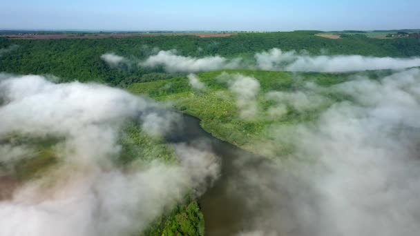 Luftaufnahme von Feldern auf einem Hügel über den Wolken, Luftaufnahme von Nebel über dem Fluss bei Sonnenaufgang, dichter Nebel über dem Fluss, Nebel über dem Dnjestr, — Stockvideo