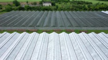 Sebzelerle dolu büyük bir seranın üzerinde uçuyor, yukarıdan bir sera manzarası.