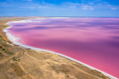 . Pembe göl ve kumsalın havadan görünüşü. Ukrayna