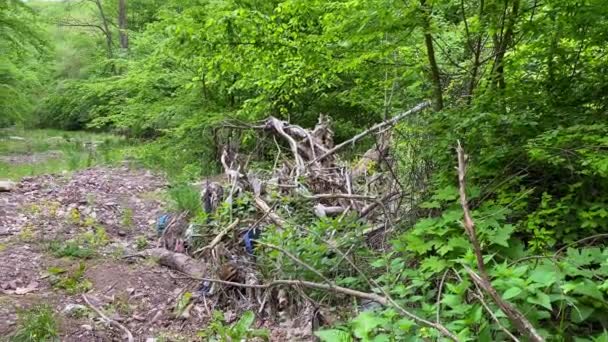 Basura tirada por un hombre desfigura un paisaje forestal — Vídeo de stock