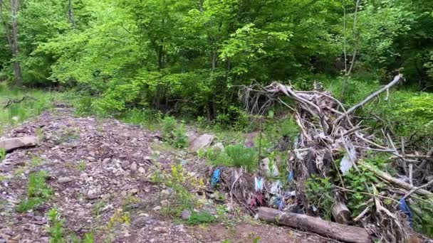 Garbage thrown by a man disfigures a forest landscape — Stock Video