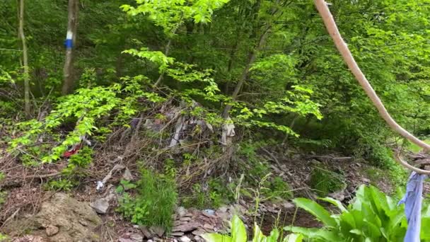 Basura tirada por un hombre desfigura un paisaje forestal — Vídeo de stock