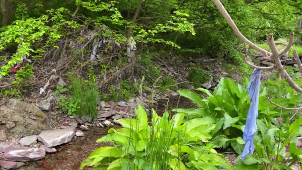 Basura tirada por un hombre desfigura un paisaje forestal — Vídeo de stock