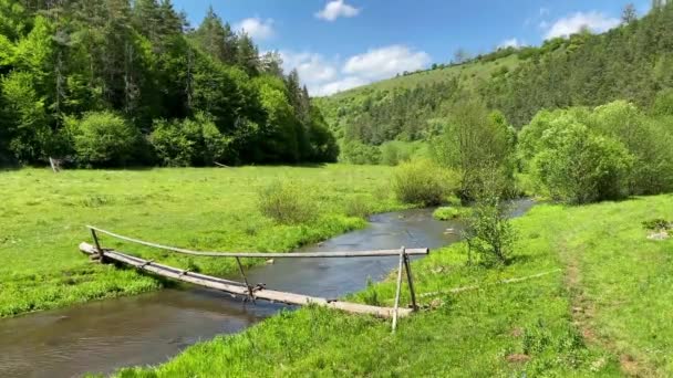 Un fiume calmo scorre lungo un prato verde e soleggiato — Video Stock