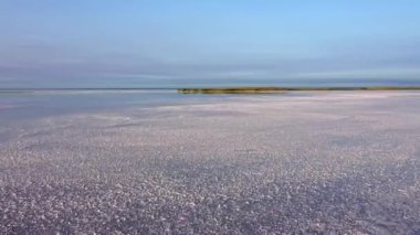 Ukrayna 'da Ölü Tuz Gölü. Ölü halis pembe