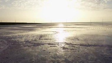 Ukrayna 'da Ölü Tuz Gölü. Ölü halis pembe