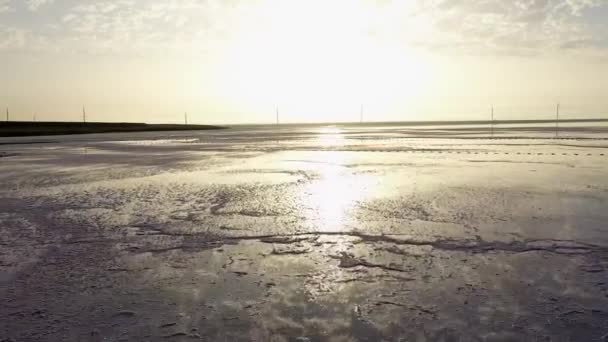 Dead Salt Lake en Ucrania. Estero muerto rosa — Vídeos de Stock