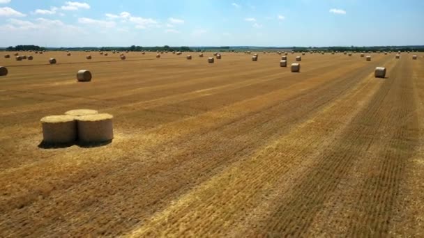 収穫した黄金の麦畑の干し草の山 — ストック動画