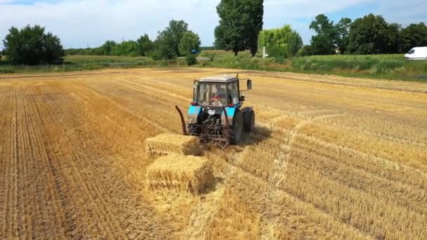 Сельское хозяйство, трактор тянет скошенные тюки сена в одно место — стоковое видео