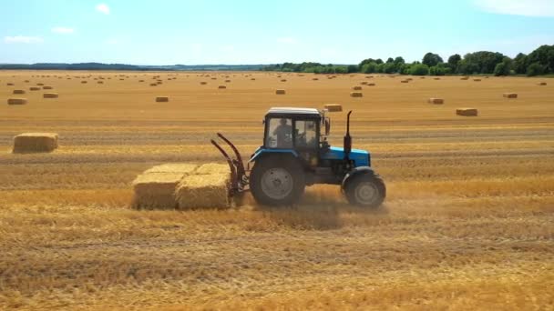 Сельское хозяйство, трактор тянет скошенные тюки сена в одно место — стоковое видео