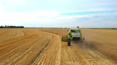 Hasat Ürünleri Altın Buğdayı Birleştirir. Tarım. Prores, ağır çekim. Havadan ateş ediyorlar.