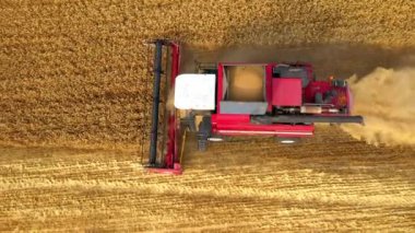 Hasat Ürünleri Altın Buğdayı Birleştirir. Tarım. Prores, ağır çekim. Havadan ateş ediyorlar.