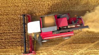 Hasat Ürünleri Altın Buğdayı Birleştirir. Tarım. Prores, ağır çekim. Havadan ateş ediyorlar.