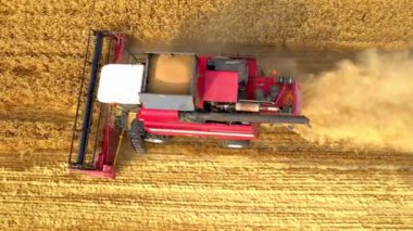 Hasat Ürünleri Altın Buğdayı Birleştirir. Tarım. Prores, ağır çekim. Havadan ateş ediyorlar.