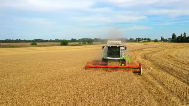Combine Harvester colheitas trigo dourado. Agricultura. Prores, câmara lenta. Tiroteio do ar — Vídeo de Stock
