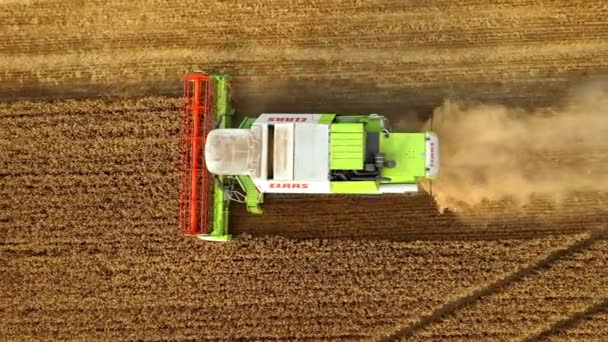 Mähdrescher erntet Goldenen Weizen. Landwirtschaft. Prores, Zeitlupe. Schießen aus der Luft — Stockvideo