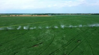 Alan sisteminin sulanması. Yeşil bitkilerin üzerinde güzel su ırmakları
