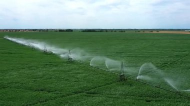 Alan sisteminin sulanması. Yeşil bitkilerin üzerinde güzel su ırmakları