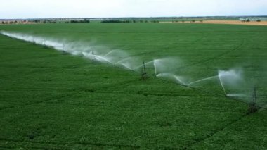 Alan sisteminin sulanması. Yeşil bitkilerin üzerinde güzel su ırmakları