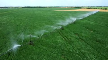 Alan sisteminin sulanması. Yeşil bitkilerin üzerinde güzel su ırmakları