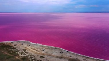Tuzlu deniz suyunun hava manzarası, pembe plankton renginde buharlaşma göletleri. Pembe göl