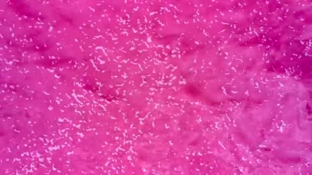 Vista aérea de los estanques de evaporación de agua salada con color rosa plancton. Lago en rosa — Vídeos de Stock