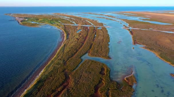 日没時の島の秋の草原の空中ビュー、秋のDzharylgach島の空中ビュー、海の近くの湖の空中ビュー、日没時の島の湖の空中ビュー — ストック動画