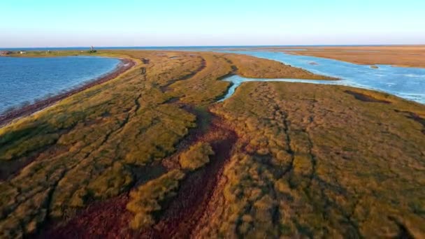 Flygfoto över hösten stäpp på ön vid solnedgången, antenn utsikt över Dzharylgach ön på hösten, antenn utsikt över sjöarna nära havet, antenn utsikt över sjöar på ön vid solnedgången — Stockvideo