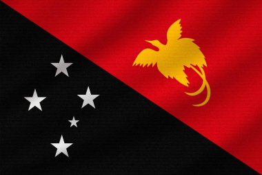 dalgalı pamuk kumaş üzerine ulusal bayrak, Papua Yeni Gine. Gerçekçi vektör çizim.