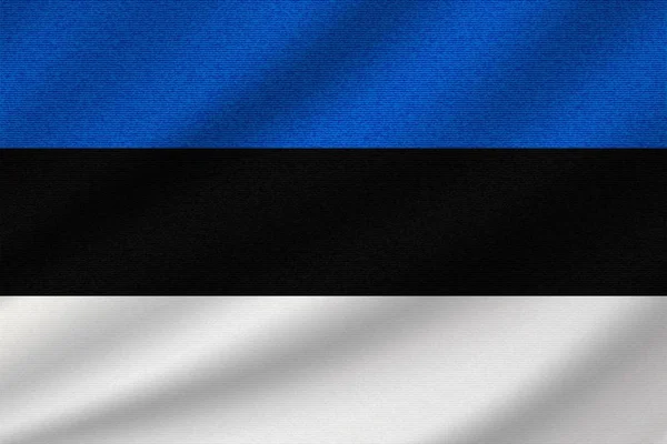 Bandera Nacional Estonia Sobre Tela Algodón Ondulado Ilustración Vectorial Realista — Archivo Imágenes Vectoriales