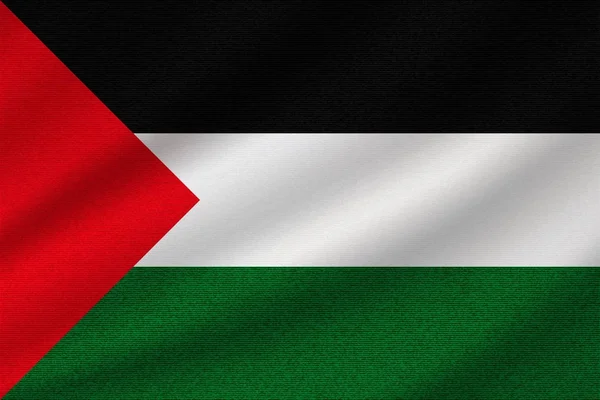 Drapeau National Palestine Sur Tissu Coton Ondulé Illustration Vectorielle Réaliste — Image vectorielle