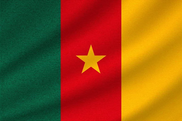 在波纹棉织物上悬挂喀麦隆国旗 现实的病媒说明 — 图库矢量图片