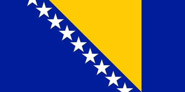 Bosna Basit Bayrağı Doğru Boyutu Oran Renk — Stok Vektör
